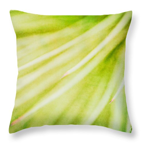 Botanicals Greens 3 - Throw Pillow