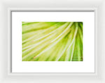 Load image into Gallery viewer, Botanicals Greens 3 - Framed Print
