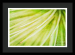 Load image into Gallery viewer, Botanicals Greens 3 - Framed Print
