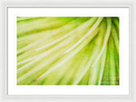 Load image into Gallery viewer, Botanicals Greens 3 - Framed Print
