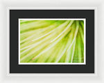 Load image into Gallery viewer, Botanicals Greens 3 - Framed Print
