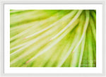 Load image into Gallery viewer, Botanicals Greens 3 - Framed Print
