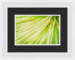 Load image into Gallery viewer, Botanicals Greens 3 - Framed Print
