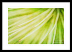 Load image into Gallery viewer, Botanicals Greens 3 - Framed Print
