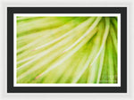 Load image into Gallery viewer, Botanicals Greens 3 - Framed Print
