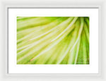 Load image into Gallery viewer, Botanicals Greens 3 - Framed Print
