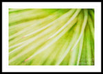 Load image into Gallery viewer, Botanicals Greens 3 - Framed Print
