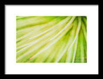 Load image into Gallery viewer, Botanicals Greens 3 - Framed Print
