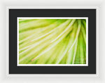 Load image into Gallery viewer, Botanicals Greens 3 - Framed Print
