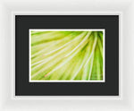 Load image into Gallery viewer, Botanicals Greens 3 - Framed Print
