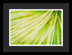 Load image into Gallery viewer, Botanicals Greens 3 - Framed Print
