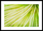 Load image into Gallery viewer, Botanicals Greens 3 - Framed Print
