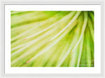 Load image into Gallery viewer, Botanicals Greens 3 - Framed Print
