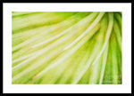 Load image into Gallery viewer, Botanicals Greens 3 - Framed Print
