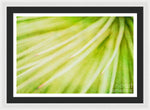 Load image into Gallery viewer, Botanicals Greens 3 - Framed Print
