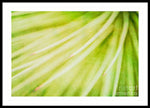 Load image into Gallery viewer, Botanicals Greens 3 - Framed Print
