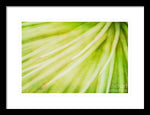 Load image into Gallery viewer, Botanicals Greens 3 - Framed Print
