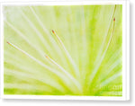 Load image into Gallery viewer, Botanicals Points - Canvas Print
