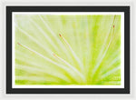 Load image into Gallery viewer, Botanicals Points - Framed Print
