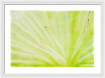 Load image into Gallery viewer, Botanicals Points - Framed Print
