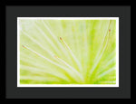 Load image into Gallery viewer, Botanicals Points - Framed Print
