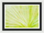 Load image into Gallery viewer, Botanicals Points - Framed Print
