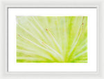 Load image into Gallery viewer, Botanicals Points - Framed Print
