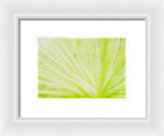 Load image into Gallery viewer, Botanicals Points - Framed Print
