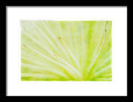 Load image into Gallery viewer, Botanicals Points - Framed Print
