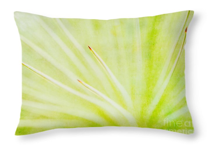 Botanicals Points - Throw Pillow