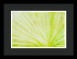 Load image into Gallery viewer, Botanicals Points - Framed Print
