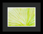Load image into Gallery viewer, Botanicals Points - Framed Print
