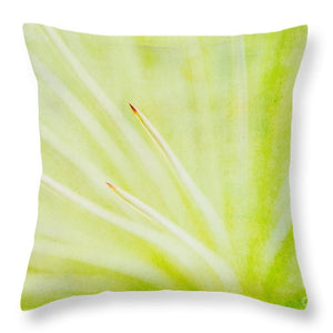 Botanicals Points - Throw Pillow