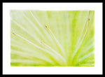 Load image into Gallery viewer, Botanicals Points - Framed Print
