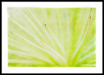 Load image into Gallery viewer, Botanicals Points - Framed Print
