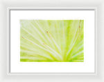 Load image into Gallery viewer, Botanicals Points - Framed Print
