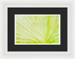 Load image into Gallery viewer, Botanicals Points - Framed Print
