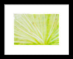 Load image into Gallery viewer, Botanicals Points - Framed Print
