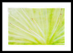 Load image into Gallery viewer, Botanicals Points - Framed Print
