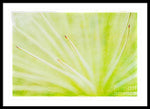 Load image into Gallery viewer, Botanicals Points - Framed Print
