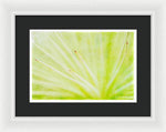 Load image into Gallery viewer, Botanicals Points - Framed Print
