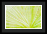 Load image into Gallery viewer, Botanicals Points - Framed Print
