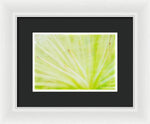 Load image into Gallery viewer, Botanicals Points - Framed Print
