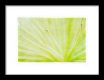 Load image into Gallery viewer, Botanicals Points - Framed Print
