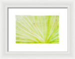 Load image into Gallery viewer, Botanicals Points - Framed Print

