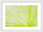 Load image into Gallery viewer, Botanicals Points - Framed Print
