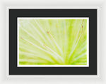 Load image into Gallery viewer, Botanicals Points - Framed Print
