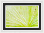 Load image into Gallery viewer, Botanicals Points - Framed Print
