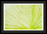 Load image into Gallery viewer, Botanicals Points - Framed Print
