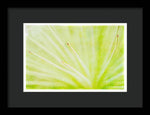 Load image into Gallery viewer, Botanicals Points - Framed Print
